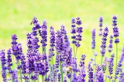 企業(yè)郵箱 企業(yè)郵箱